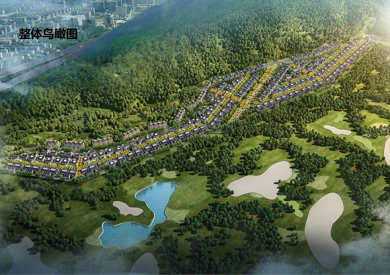 风景湾8号-科学管理，精心施工