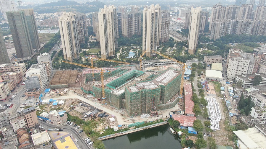 东莞寮步蟠龙岗小学